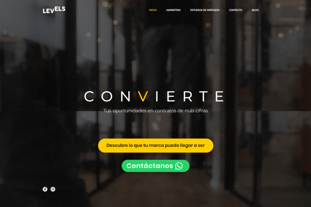 Levels Marketing Agencia de Marketing Digital en Torreon