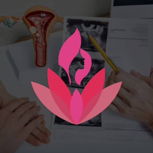 Diseno de Paginas Web para Medicos Ragolance WEB