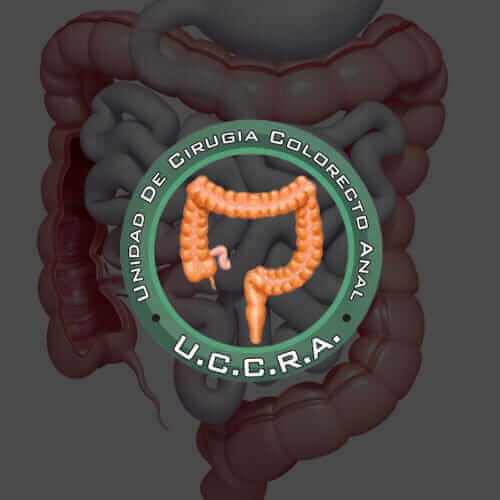 Diseno de Paginas Web para Medicos y Clinicas Ragolance WEB